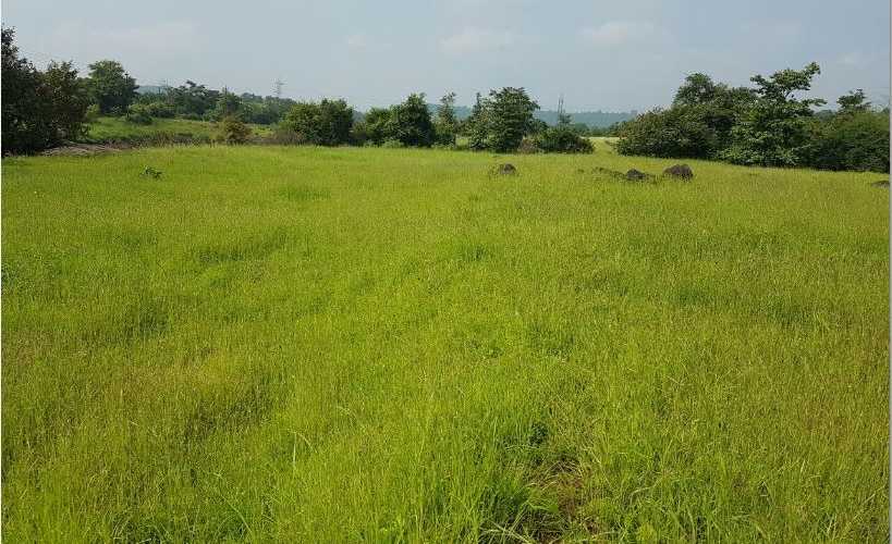 Green Land in Pali, Mumbai | Find Price, Gallery, Plans, Amenities on ...