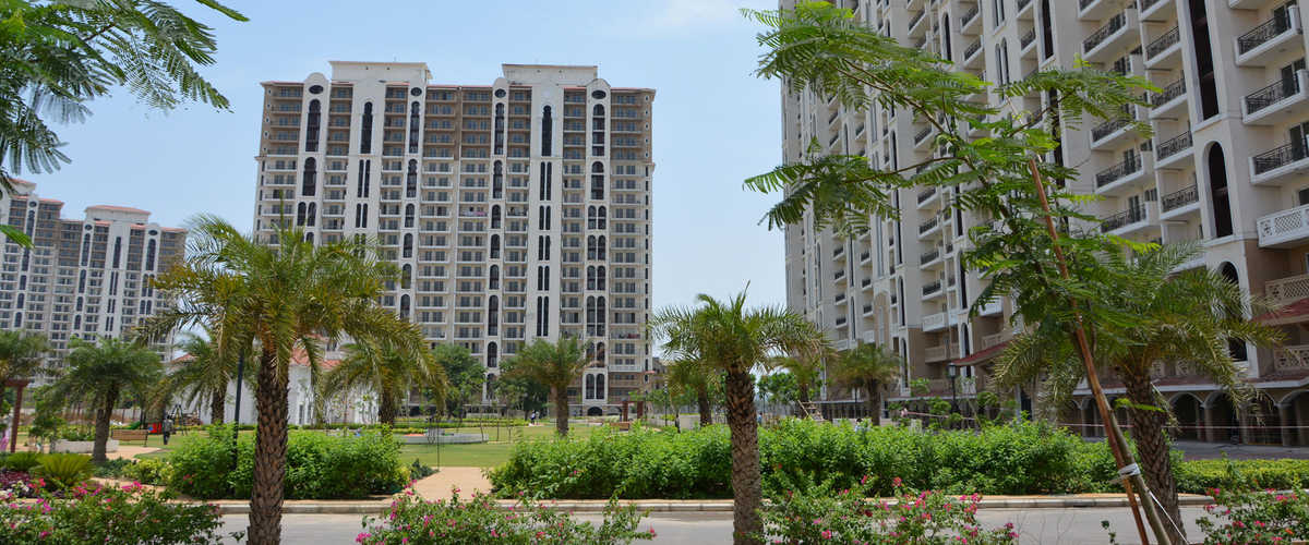 Apartment for Rent at DLF New Town Heights I, Sector-90 ...