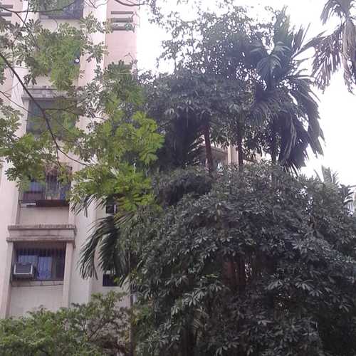 Arihant Darshan CHS in Kandivali East, Mumbai | Find Price, Gallery ...