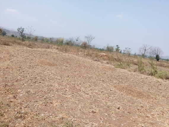 Shree Mangaon Plot in Mangaon, Raigad | Find Price, Gallery, Plans ...