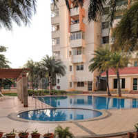 2 BHK Apartments, Flats For Rent In Hsr 