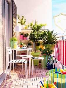 Set Up a Balcony Garden in Your Apartment