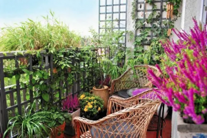 Set Up a Balcony Garden in Your Apartment