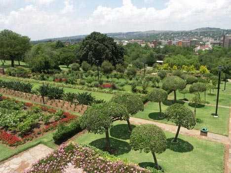 Terrace Garden! Want A Terrace Garden At Your Home?