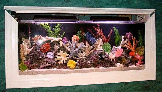 How To Maintain A Wall Aquarium - Fish Tank In Wall How To Clean