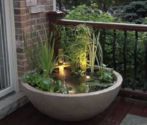 Lockdown Day 8: Set Up An Amazing Balcony Pond Today With These Tips